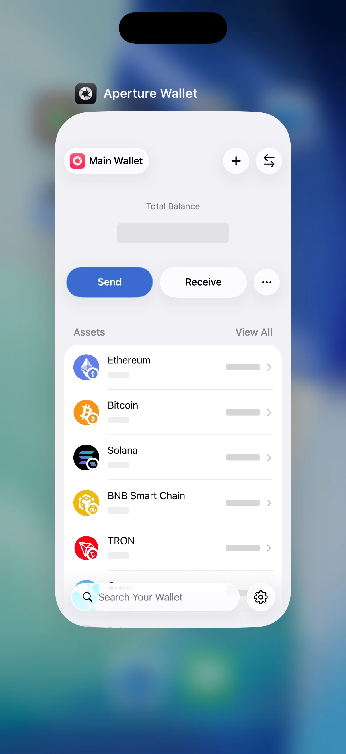 Real iOS Simulator app switcher showing Aperture balances replaced by neutral privacy placeholders