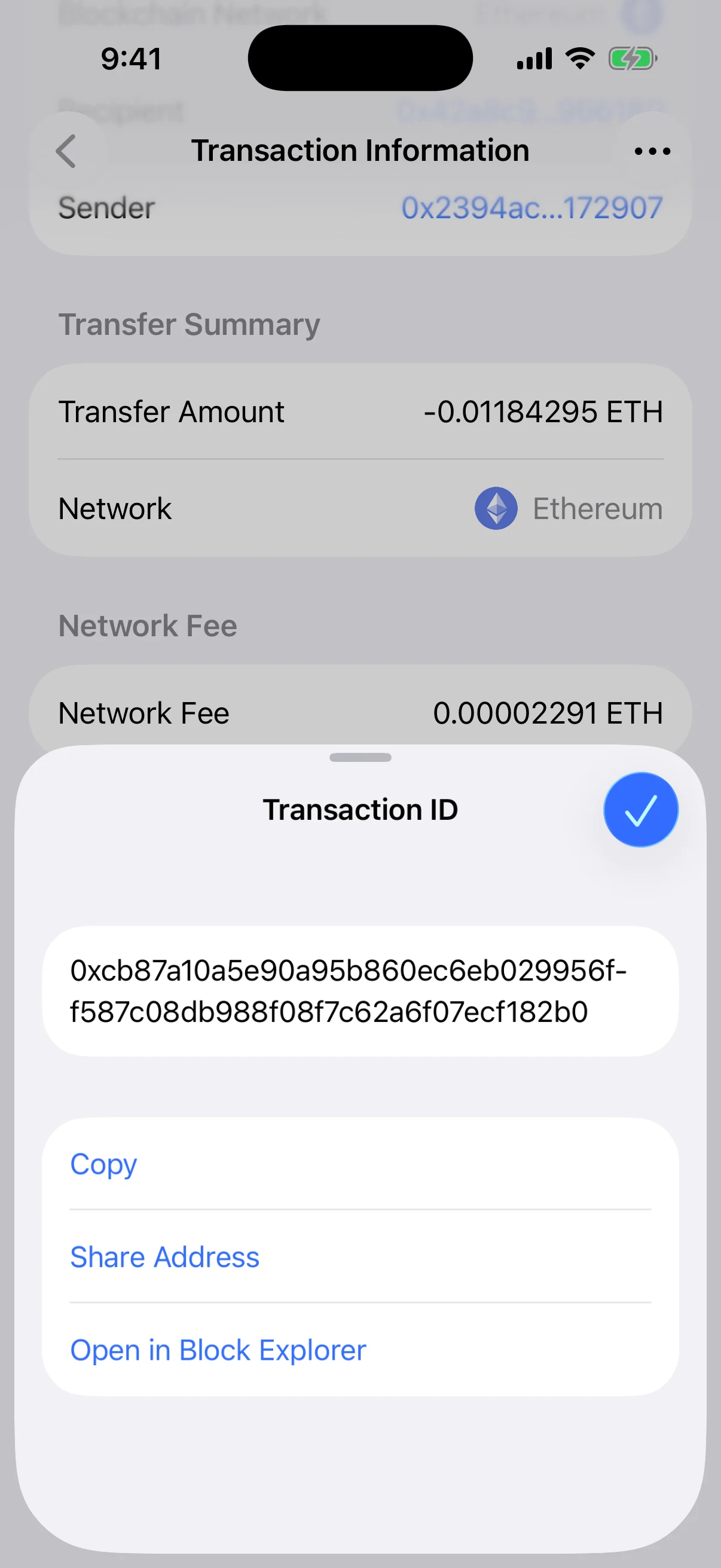 Real Aperture Transaction ID sheet showing the complete public hash with copy, share, and block-explorer actions